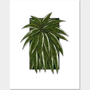 Vintage doodle illustration of Green Monstera Leaves Posters and Art